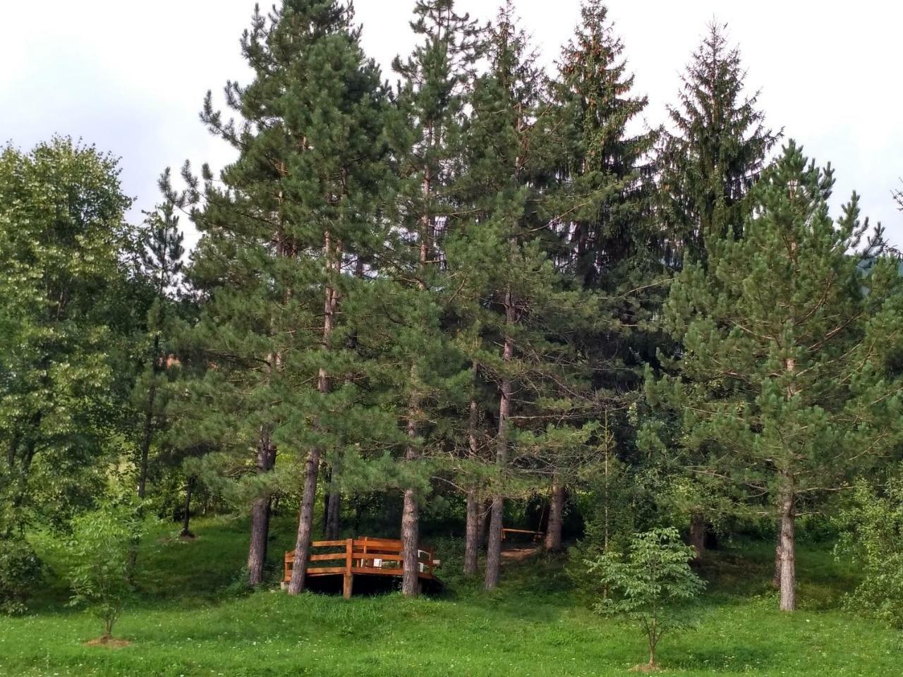 Taramour Cottages. Мойковац Экстерьер фото